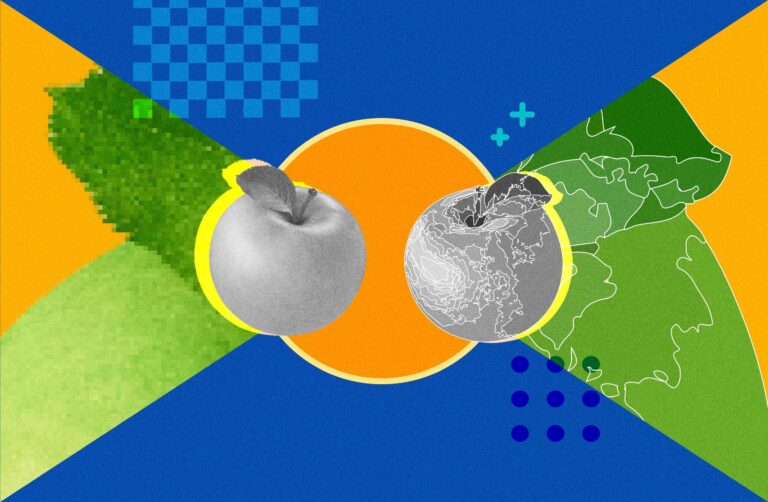 Raster vs Vector: Which to Use for Packaging?