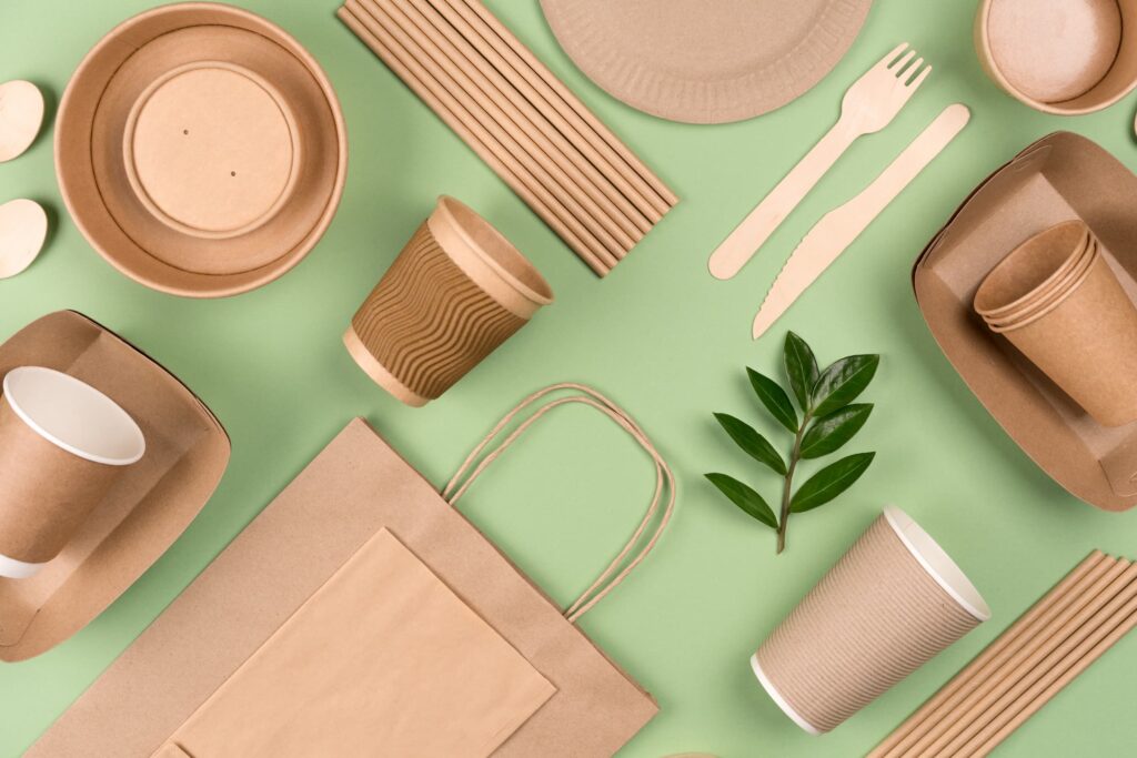 Biodegradable food packaging. Paper disposable environmentally friendly tableware for environmental protection